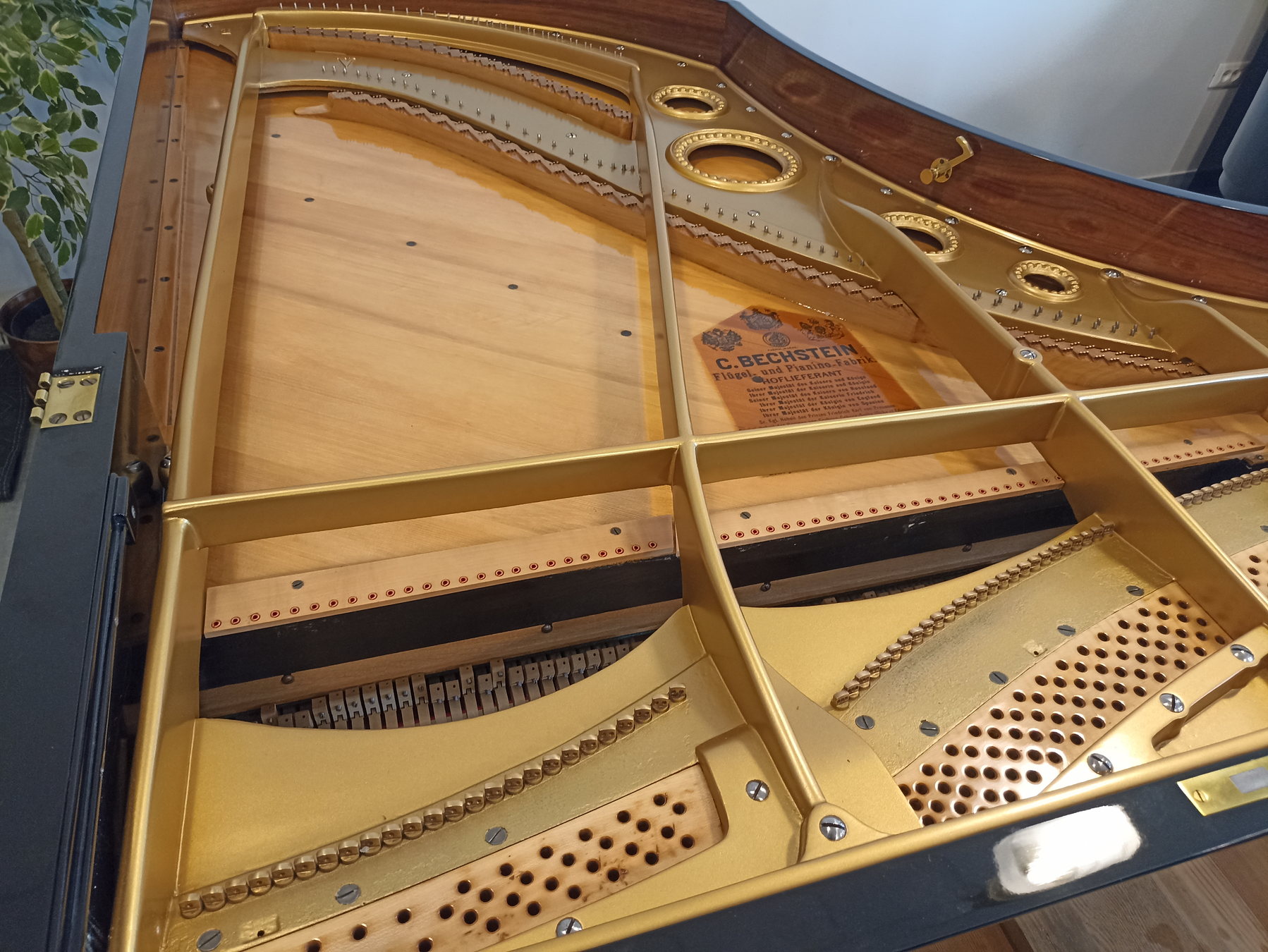 Restauro del pianoforte, fotografia 12