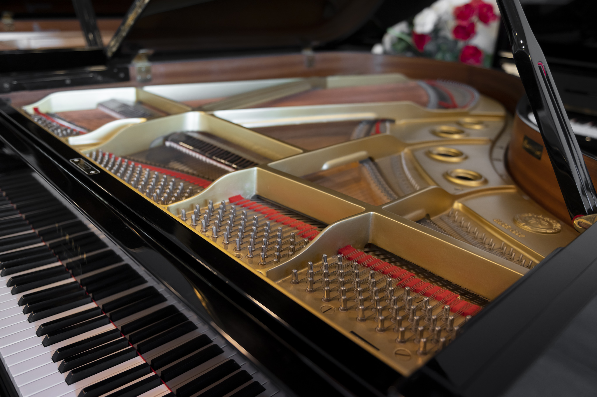 Pianoforti verticali e a coda nello showroom di Calcinaia